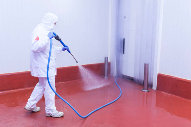 Best Graffiti Removal  in Vauxhall, NJ